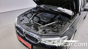 BMW 5-Series 530i Luxury Plus 2020 года из Южной Кореи