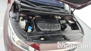 Kia Carnival 9-Seater Luxury 2020 года из Южной Кореи