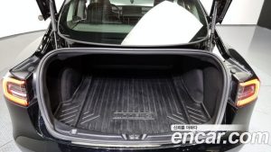 Tesla Model 3 LONG RANGE 2020 года из Южной Кореи