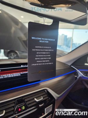 BMW 5-Series 530i xDrive Luxury Plus 2020 года из Южной Кореи