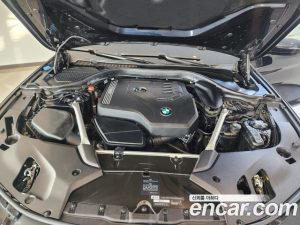 BMW 5-Series 530i xDrive Luxury Plus 2020 года из Южной Кореи