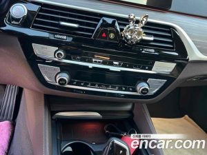BMW 5-Series 530i Luxury 2020 года из Южной Кореи