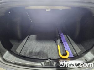 Tesla Model 3 Performance 2020 года из Южной Кореи