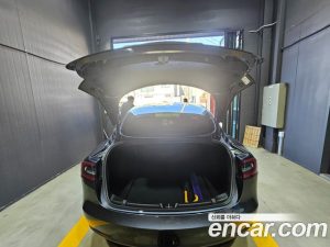 Tesla Model 3 Performance 2020 года из Южной Кореи