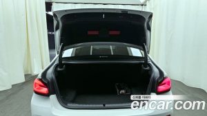 BMW 5-Series 530i xDrive Luxury 2021 года из Южной Кореи