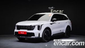 Kia Sorento HEV 1.6 4WD 2024 года из Южной Кореи