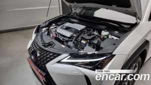 Lexus UX 2.0 2WD 2021 года из Южной Кореи