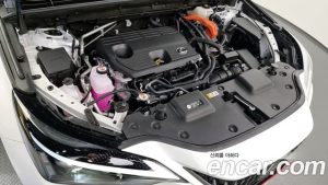 Lexus NX Premium 2024 года из Южной Кореи