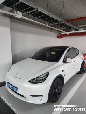 Tesla Model Y LONG RANGE 2021 года из Южной Кореи