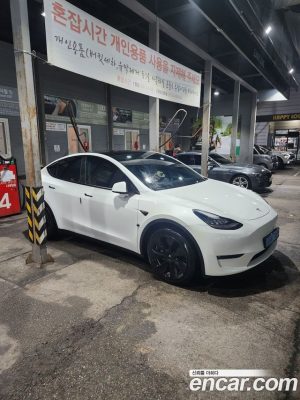 Tesla Model Y LONG RANGE 2021 года из Южной Кореи