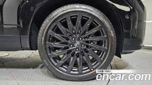 Hyundai Santafe Бензин 2.5T 2WD 2024 года из Южной Кореи