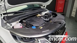 Kia Carnival 7-Seater на открытом воздухе 2023 года из Южной Кореи