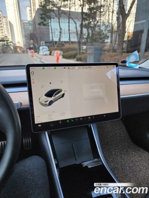 Tesla Model 3 Performance 2020 года из Южной Кореи