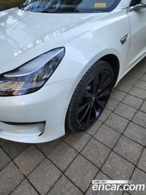 Tesla Model 3 Performance 2020 года из Южной Кореи