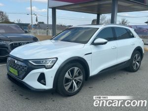 Audi Q8 e-tron 55 4WD 2024 года из Южной Кореи