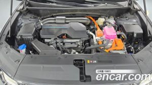 Hyundai Tucson HEV 1.6 2WD 2024 года из Южной Кореи