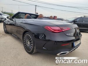 Mercedes-Benz CLE-Class CLE200 Cabriolet 2024 года из Южной Кореи