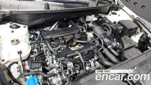 Kia Sportage Бензин 1.6 Turbo 2WD 2024 года из Южной Кореи