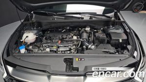 Kia Sportage Бензин 1.6 Turbo 2WD 2024 года из Южной Кореи