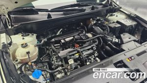 Kia Sportage Бензин 1.6 Turbo 4WD 2024 года из Южной Кореи