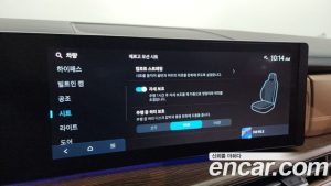Hyundai Santafe HEV 1.6 2WD 2024 года из Южной Кореи