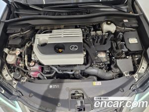 Lexus UX 2.0 2WD 2024 года из Южной Кореи