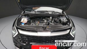 Kia Sportage Бензин 1.6 Turbo 4WD 2024 года из Южной Кореи