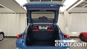 BMW X2 (F39) xDrive20i M Sport 2025 года из Южной Кореи