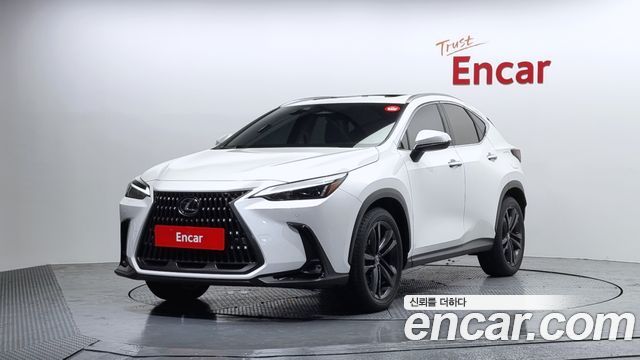 Lexus NX Premium 2025 года из Кореи