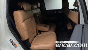 Hyundai Santafe Бензин 2.5T 2WD 2024 года из Южной Кореи