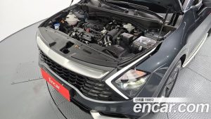 Kia Sportage Бензин 1.6 Turbo 2WD 2024 года из Южной Кореи