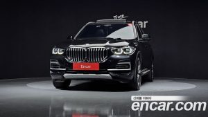 BMW X5 xDrive 30d xLine 2023 года из Южной Кореи