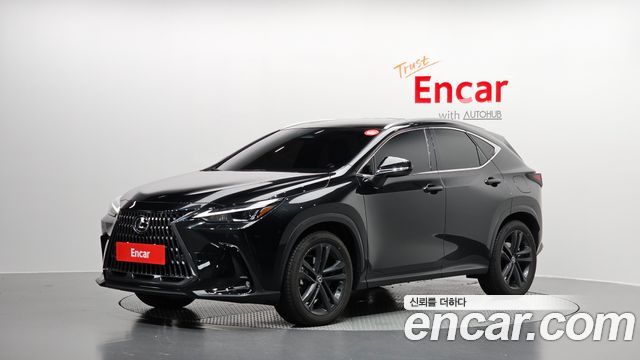 Lexus NX Premium 2025 года из Кореи