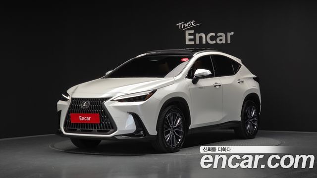 Lexus NX Luxury 2025 года из Кореи