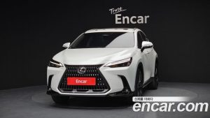 Lexus NX Premium 2024 года из Южной Кореи