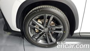 Lexus NX Premium 2024 года из Южной Кореи