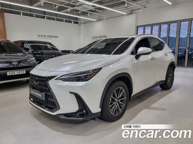 Lexus NX Premium 2025 года из Кореи
