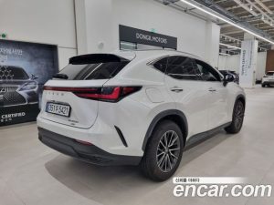 Lexus NX Premium 2025 года из Южной Кореи