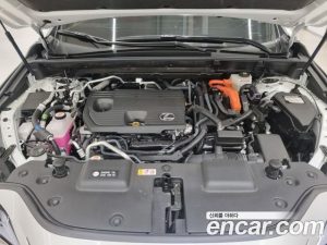 Lexus NX Premium 2025 года из Южной Кореи