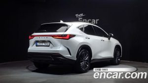 Lexus NX Luxury 2025 года из Южной Кореи