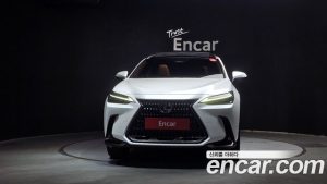 Lexus NX Luxury 2025 года из Южной Кореи