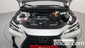 Lexus NX Premium 2024 года из Южной Кореи