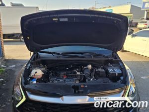 Kia Sportage Бензин 1.6 Turbo 2WD 2024 года из Южной Кореи
