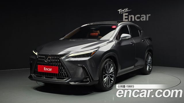 Lexus NX Luxury 2025 года из Кореи