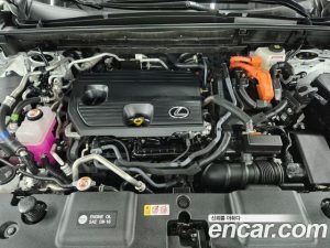Lexus NX F-Sport 2025 года из Южной Кореи