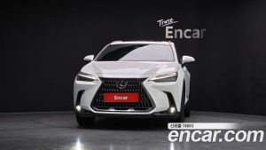 Lexus NX Premium 2024 года из Южной Кореи