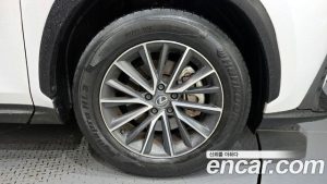 Lexus NX Premium 2024 года из Южной Кореи