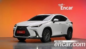 Lexus NX Premium 2024 года из Южной Кореи