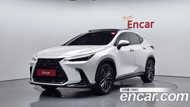 Lexus NX Luxury 2025 года из Кореи
