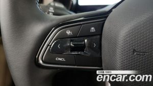 Renault-KoreaSamsung Grand Koleos 1.5 E-TECH Iconic 2WD 2025 года из Южной Кореи
